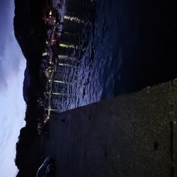 今日もガッシーのみ